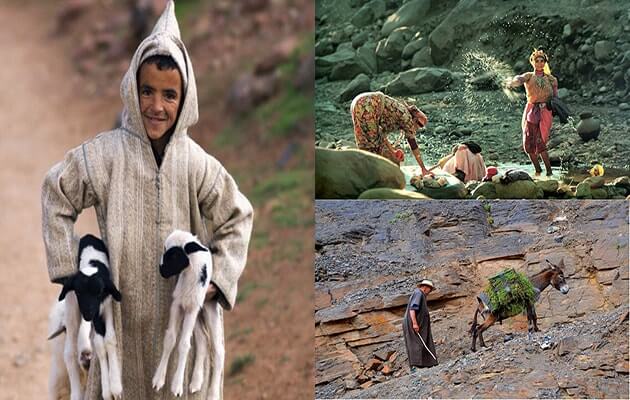 La campagne marocaine : le pot de fer et le pot de terre