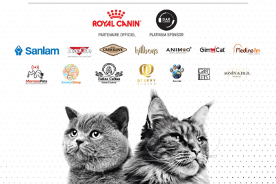 mazagan cat show 2025