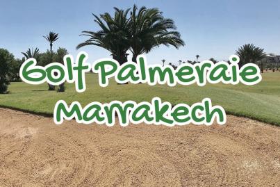 palm, golf, marrakech, palmeraie, maroc