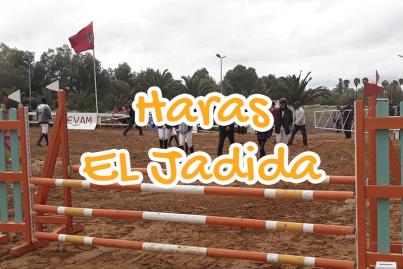 Royal Equestrian Club of EL Jadida