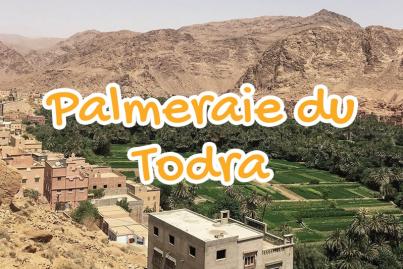 todra, palm, groves, tinghir, morocco