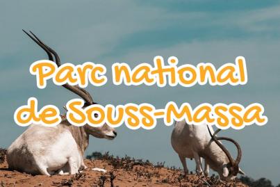 Souss Massa National Park (PNSM)