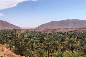 Image - Figuig est un groupe d’oasis et de villages occupant, dans l’extrême sud-est marocain