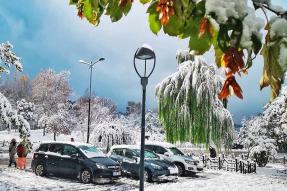 Image - Un climat stimulant à Ifrane