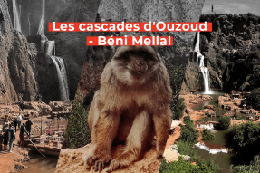 Video Thumb - Les cascades d'Ouzoud - Béni Mellal