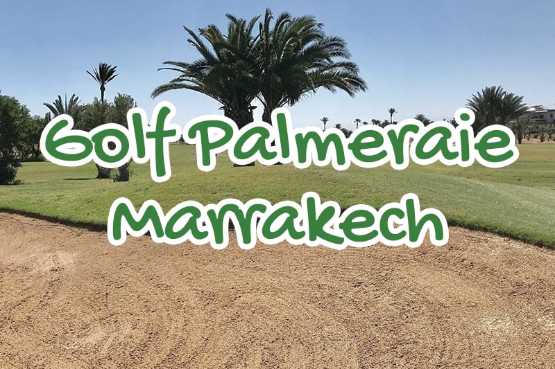palm, golf, course, marrakesh, palmeraie, morocco