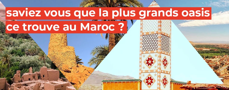 la plus grands oasis maroc