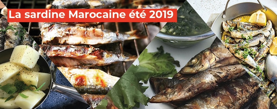sardine marocaine ete 2019