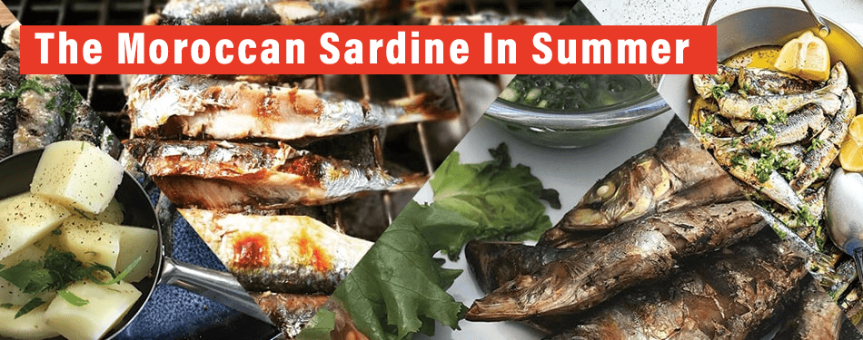 the moroccan sardine summer 2019