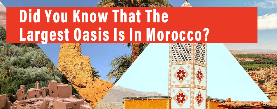 did you know that the largest oasis morocco