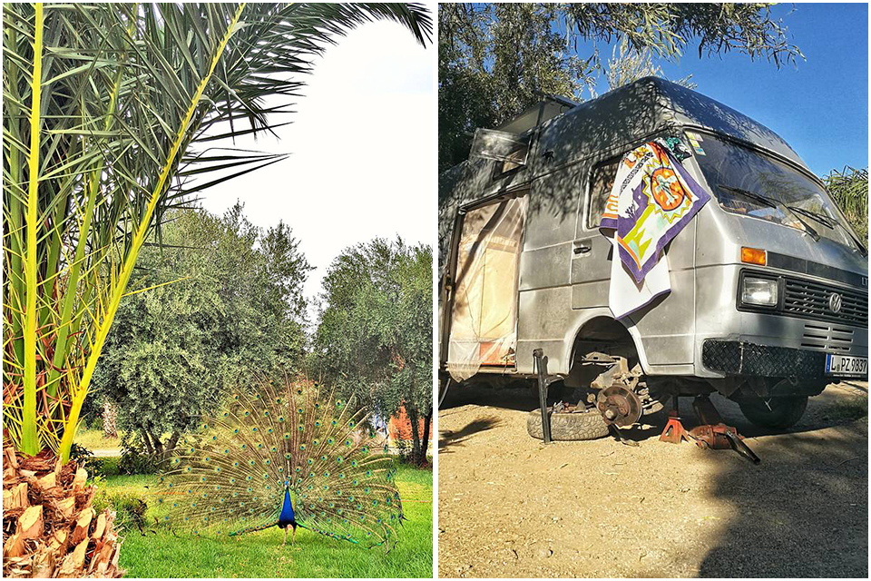camping le relais marrakech travel morocco infos tourisme maroc