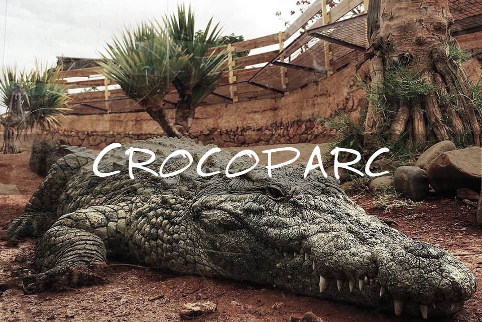 crocoparc visit agadir infos tourisme maroc