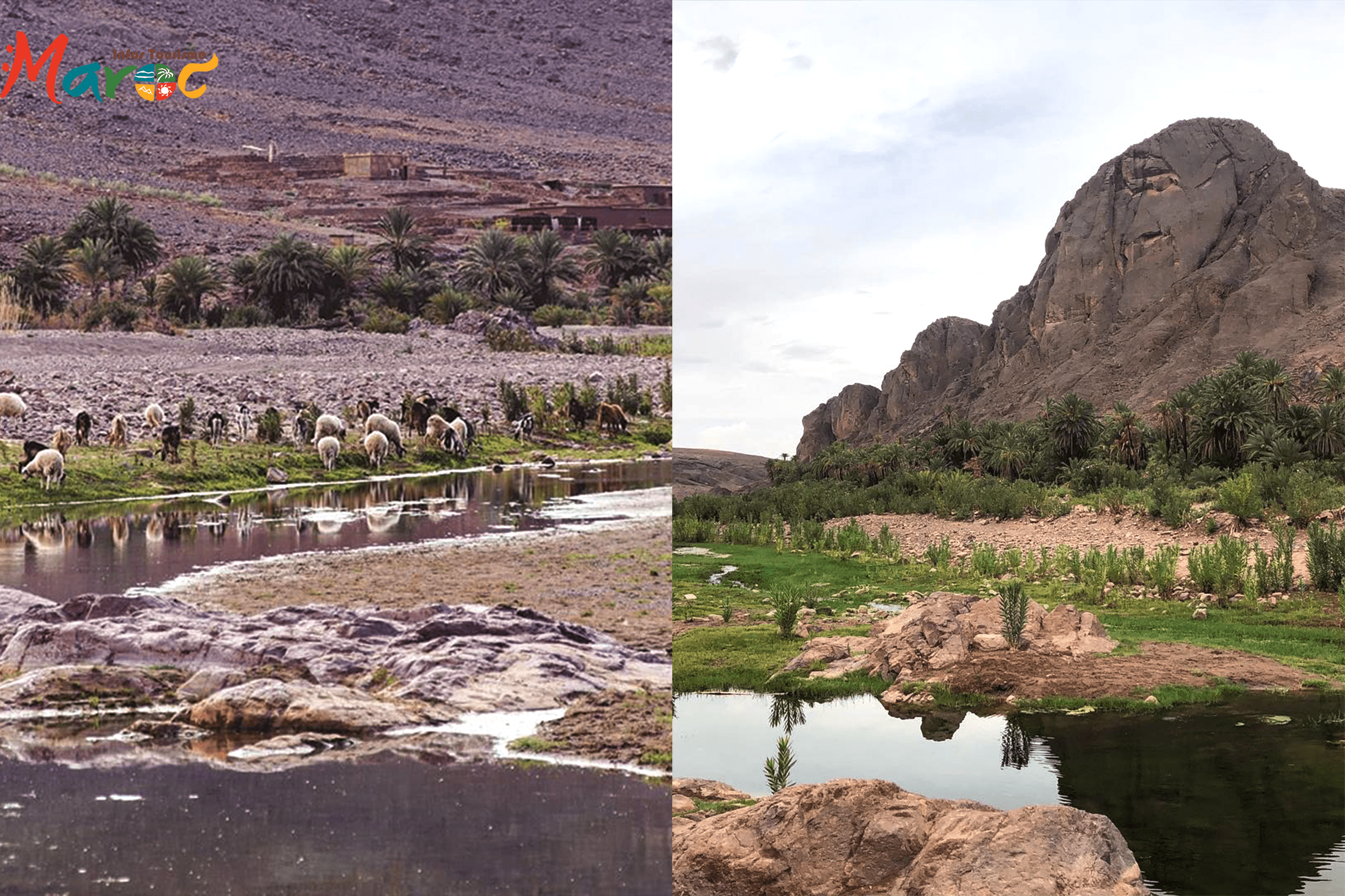 oasis de fint trip office tourisme maroc