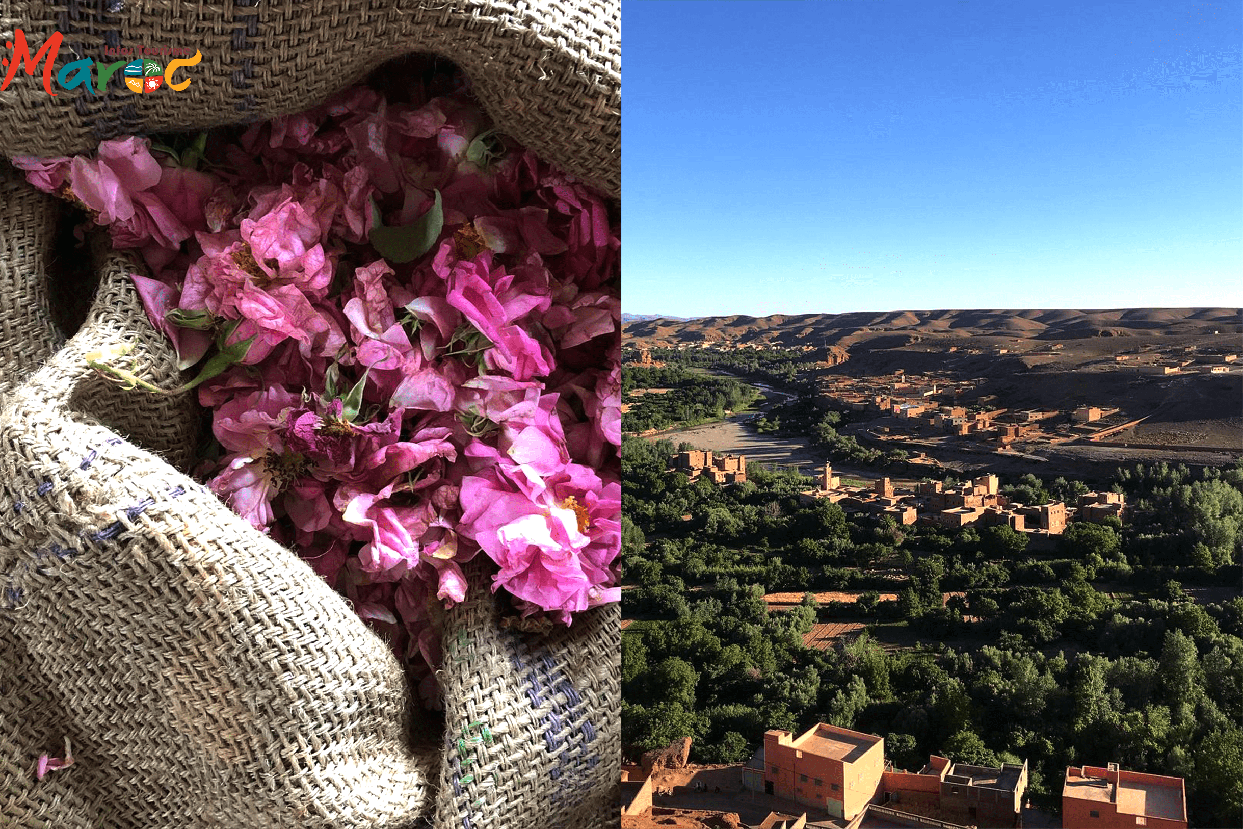 vallee des roses trip maroc travel office tourisme