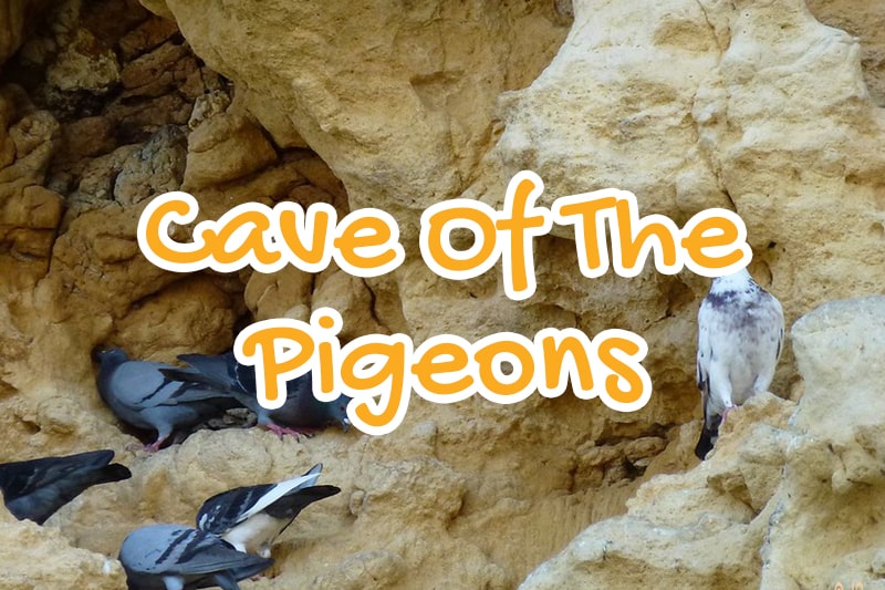 cave, of, the, pigeons, berkane, morocco