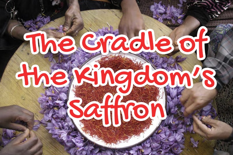 The Cradle of the Kingdom’s Saffron